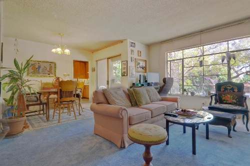 Clean, Kind and Peaceful image 1