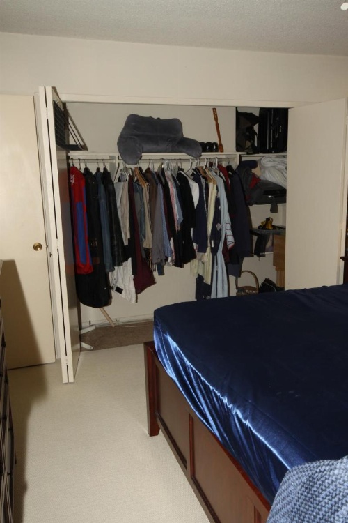 Clean, Kind and Peaceful image 16